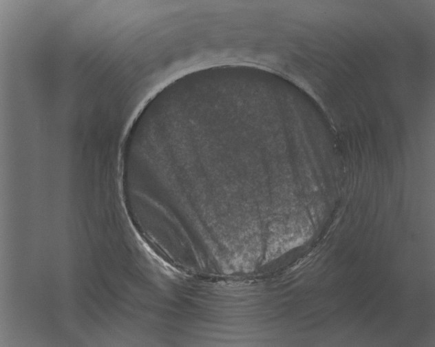 X0000060221508200511241225
