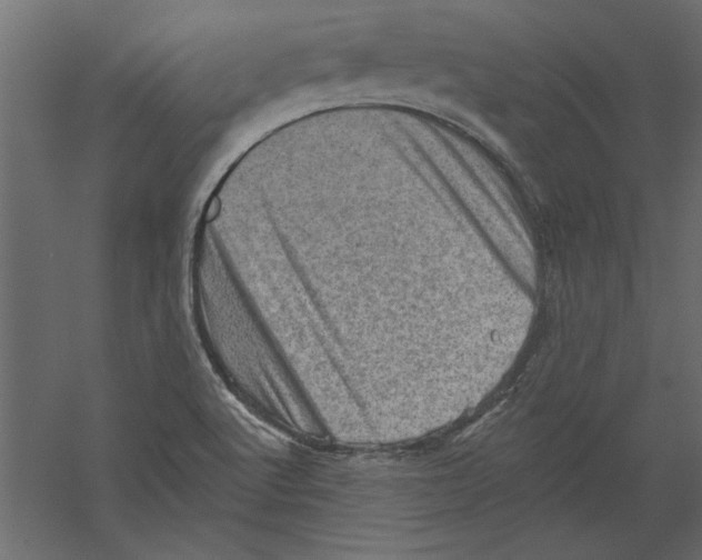 X0000060221512200511241225