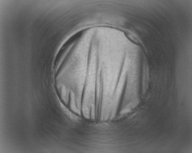 X0000060221524200511241226