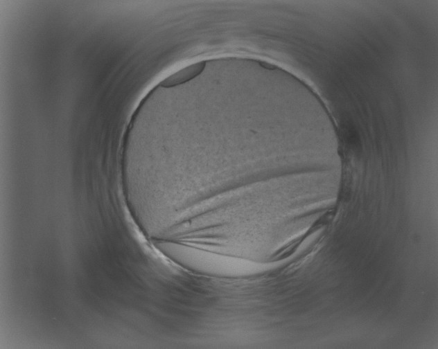 X0000060221534200511241226