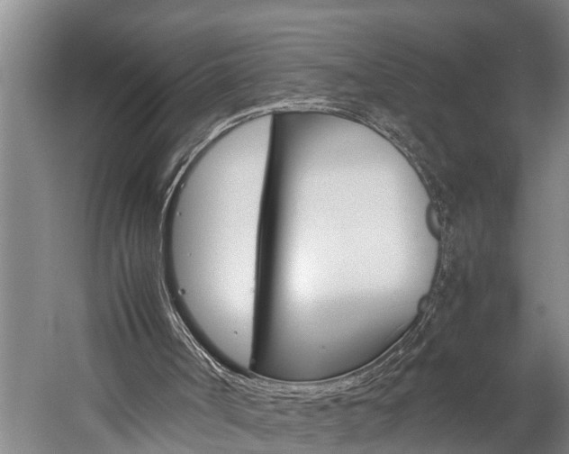 X0000060230002200510280950