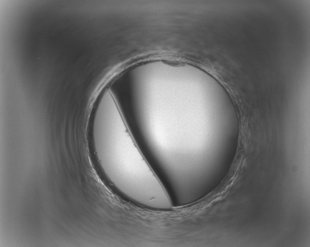 X0000060230007200510280950
