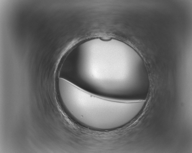 X0000060230008200510280950