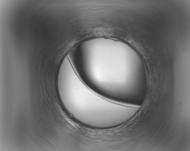 X0000060230009200510280950