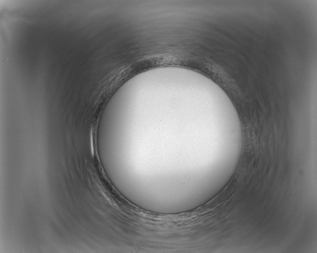 X0000060230022200510280949