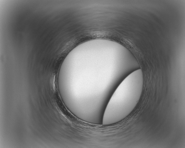 X0000060230024200510280949