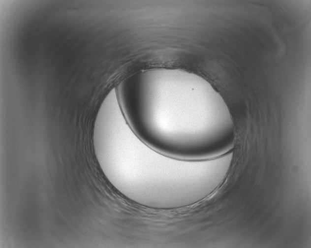X0000060230045200510280949