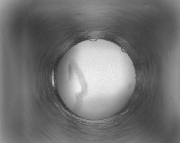 X0000060230046200510280949