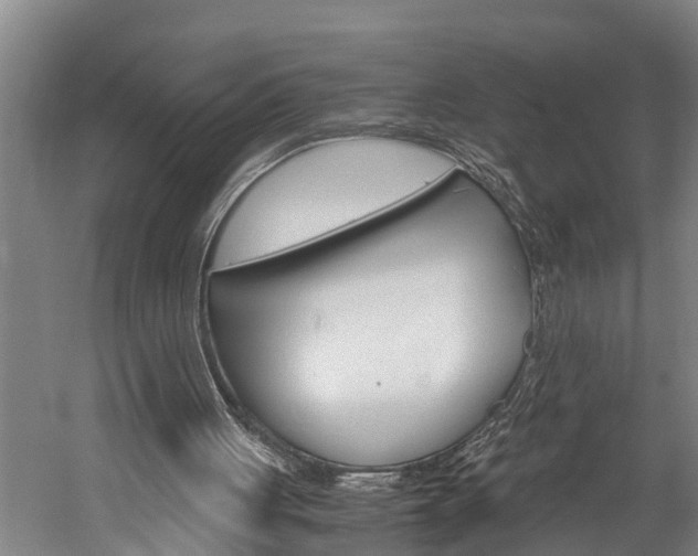 X0000060230051200510280948