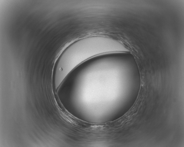X0000060230052200510280948