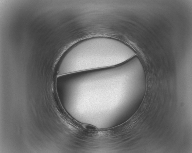 X0000060230060200510280948