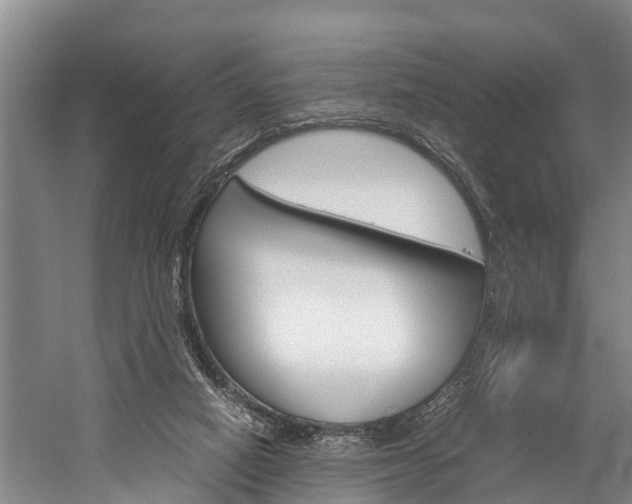 X0000060230066200510280948