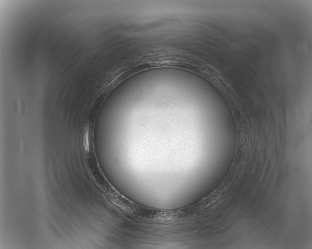 X0000060230076200510280949