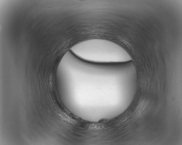 X0000060230077200510280949