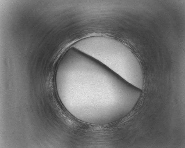 X0000060230098200510280948