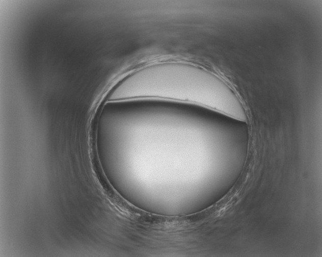 X0000060230103200510280948