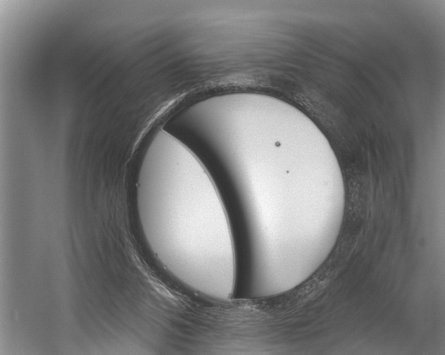 X0000060230112200510280948