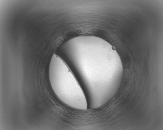 X0000060230123200510280948