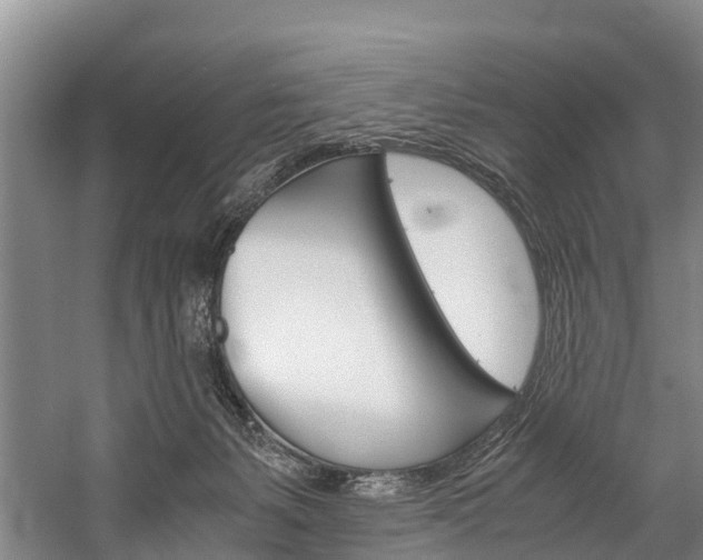 X0000060230127200510280948