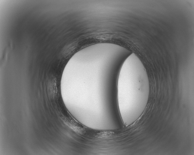 X0000060230128200510280948