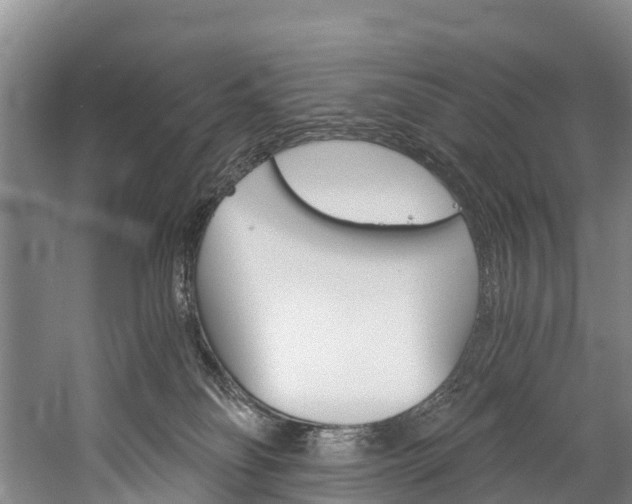 X0000060230134200510280948