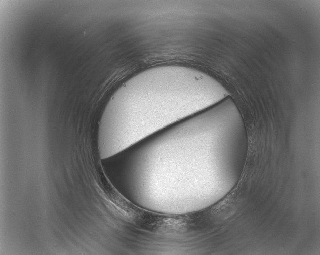 X0000060230166200510280947