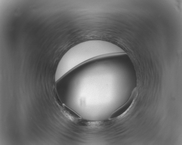 X0000060230192200510280947