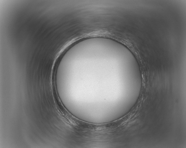 X0000060230196200510280946
