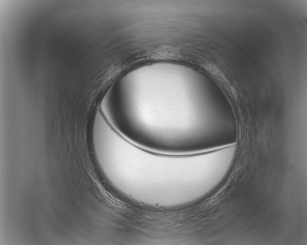 X0000060230201200510280946