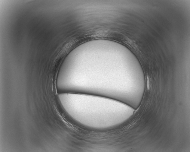 X0000060230205200510280946