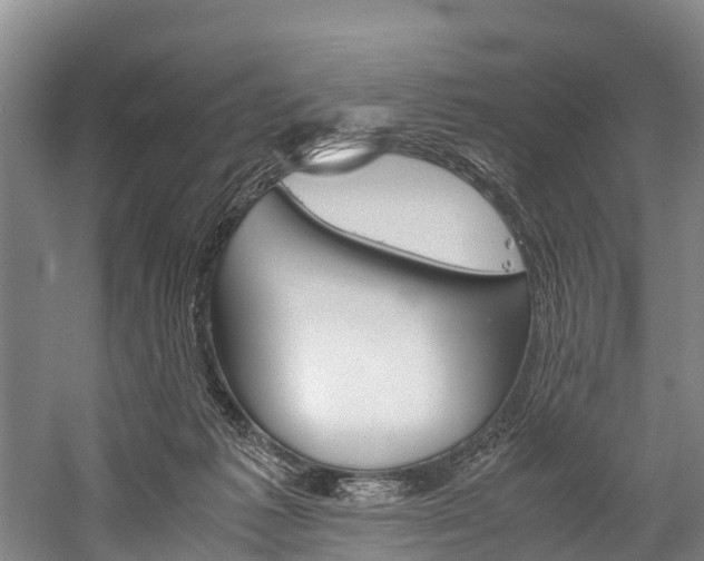 X0000060230221200510280946
