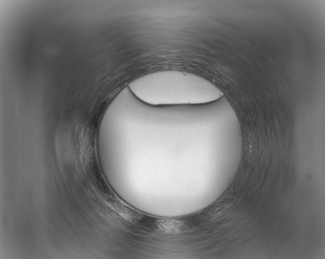 X0000060230226200510280946