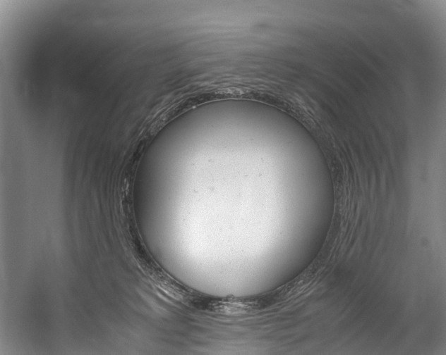 X0000060230229200510280946