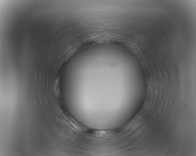 X0000060230239200510280946