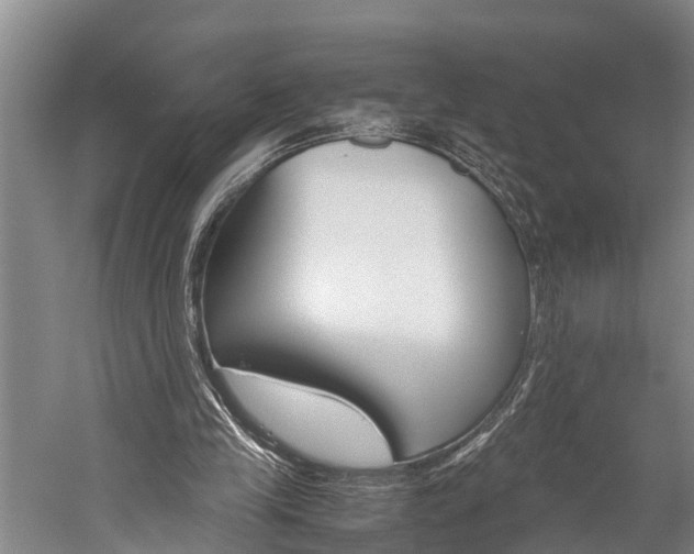 X0000060230245200510280945