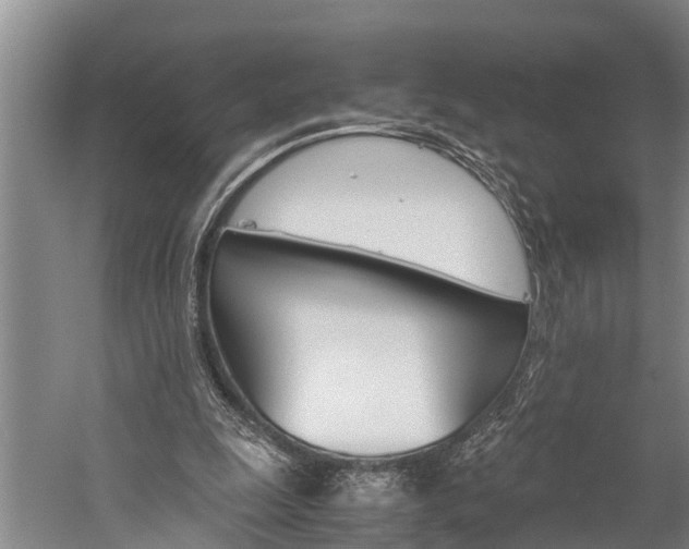 X0000060230247200510280945
