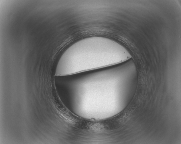X0000060230258200510280945