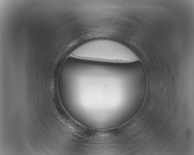 X0000060230260200510280945