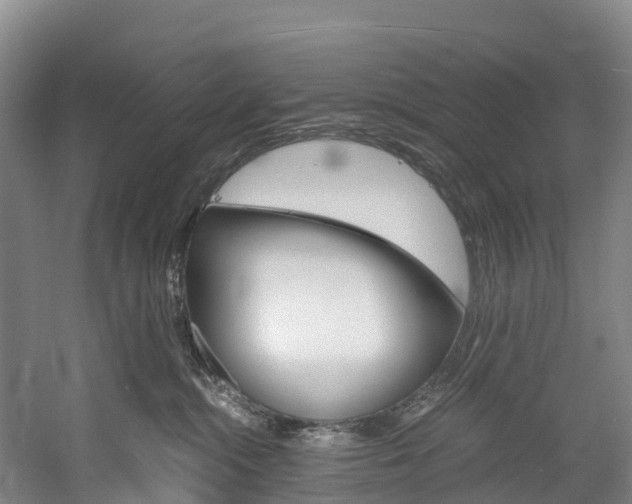 X0000060230284200510280946