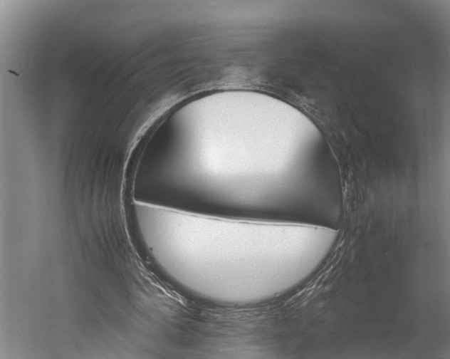 X0000060230292200510280945
