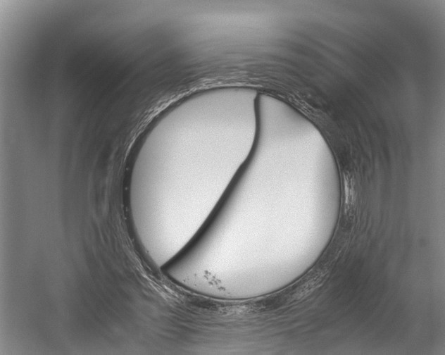 X0000060230301200510280945