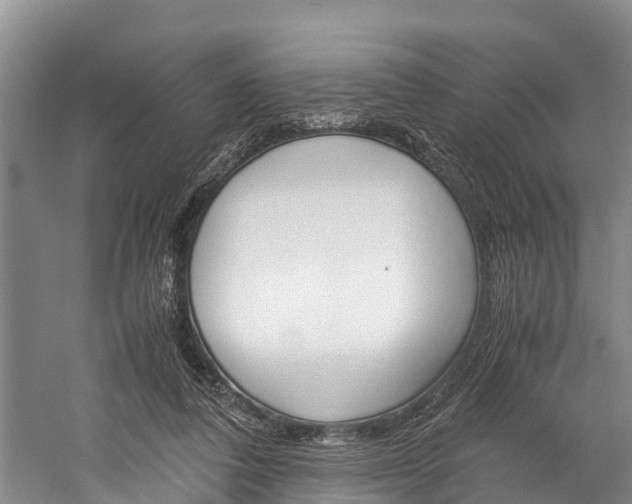 X0000060230308200510280945