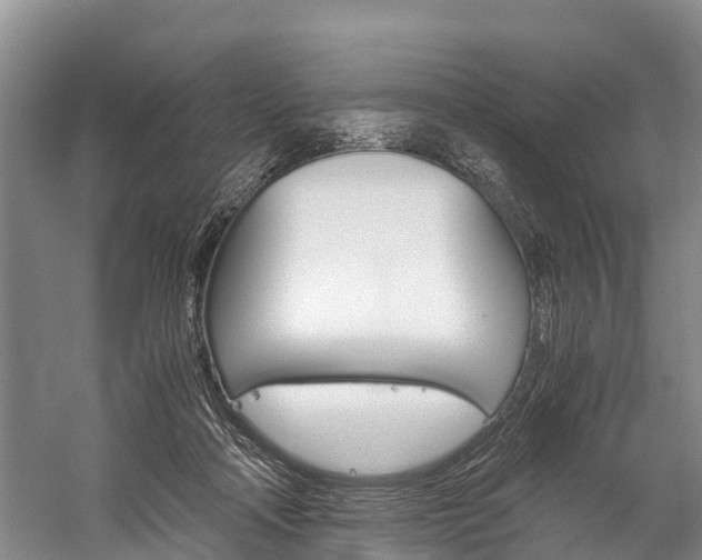X0000060230314200510280944
