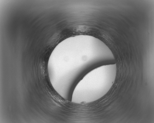 X0000060230328200510280944