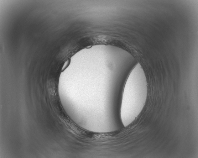 X0000060230331200510280944