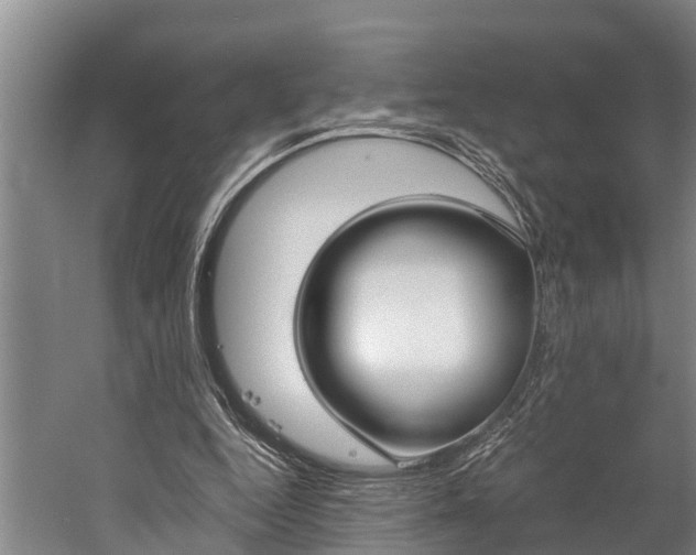 X0000060230344200510280943