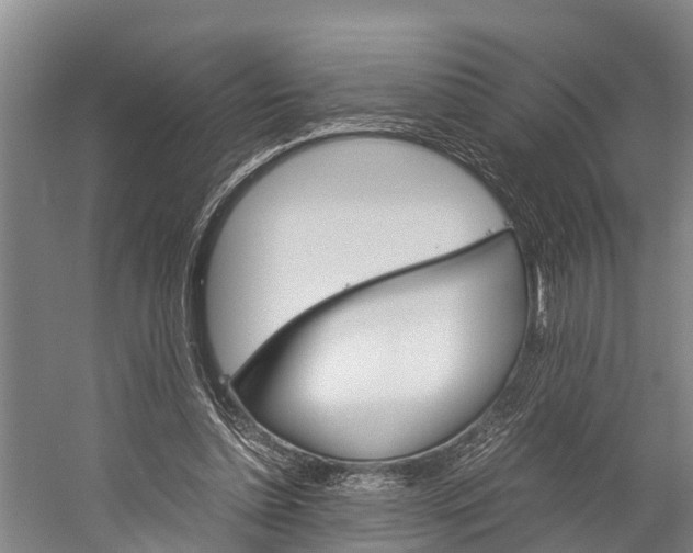 X0000060230348200510280943