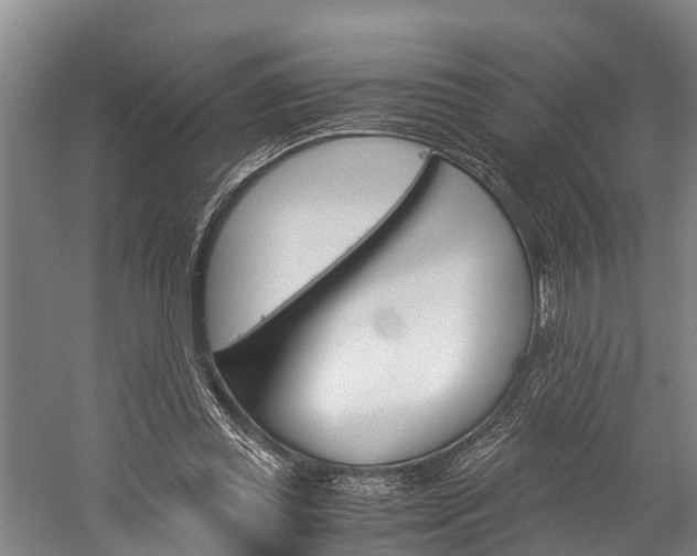 X0000060230349200510280943