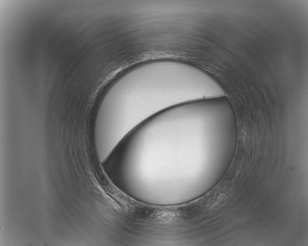 X0000060230352200510280944