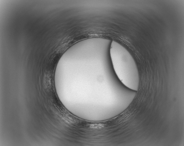 X0000060230363200510280944